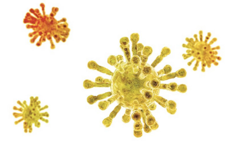 corona virus